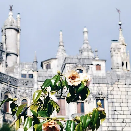 بيت للعطل Cozy House In Peniche, 30 M² With Sea View بينيش